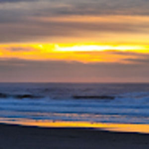 Meet your Posher, Brandi